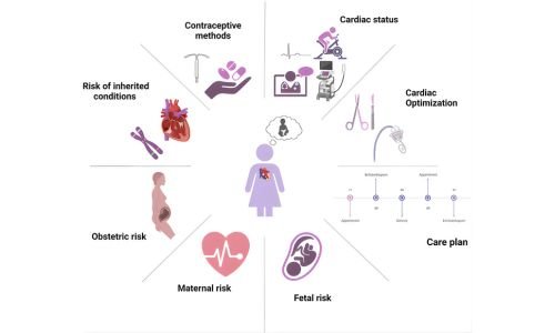 Preconception Counseling
